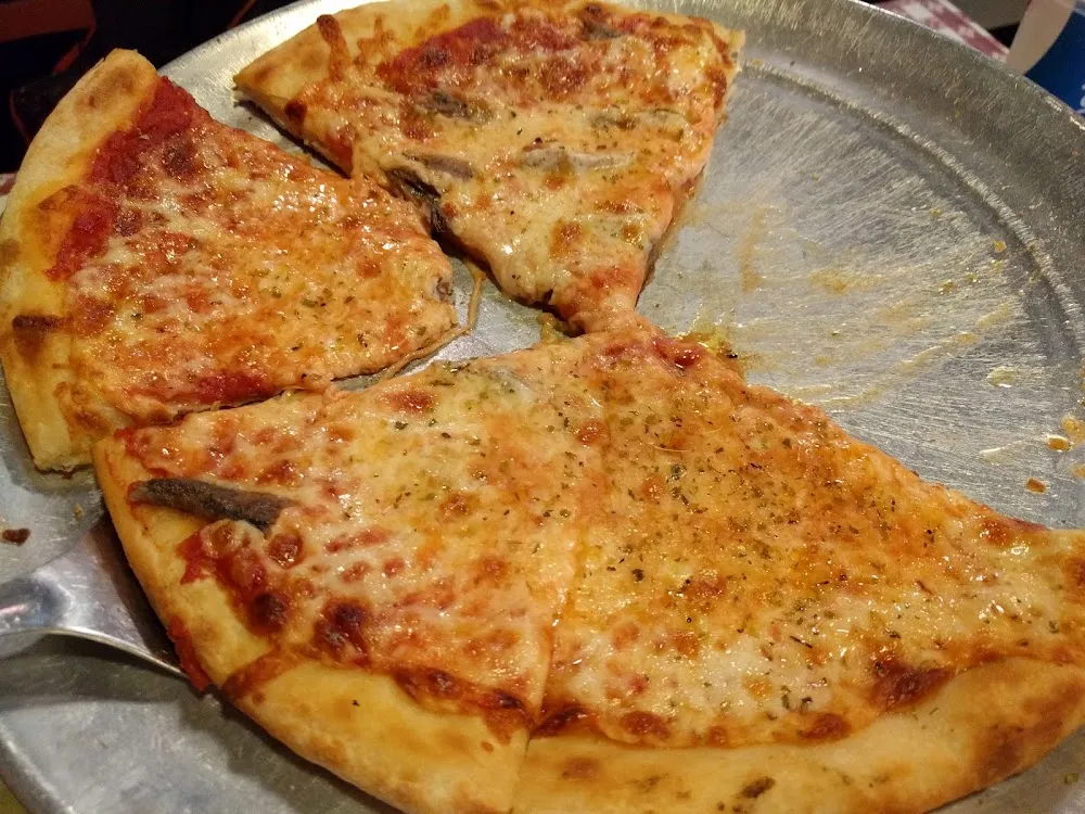 Anchovy and Cheese Pizza